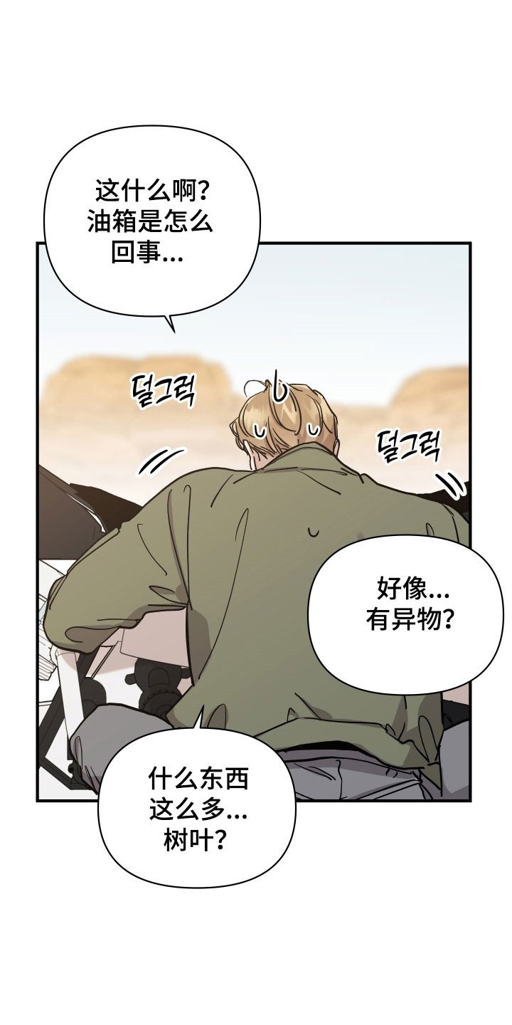 第26章：玫瑰算计4