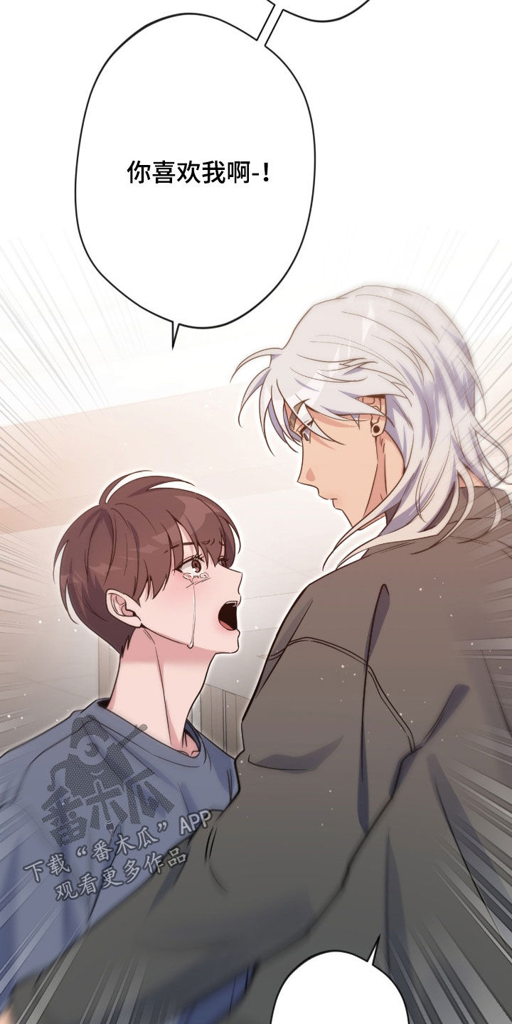 天使圣剑阵容搭配漫画,第89章：【第二季】那就试试吧3图