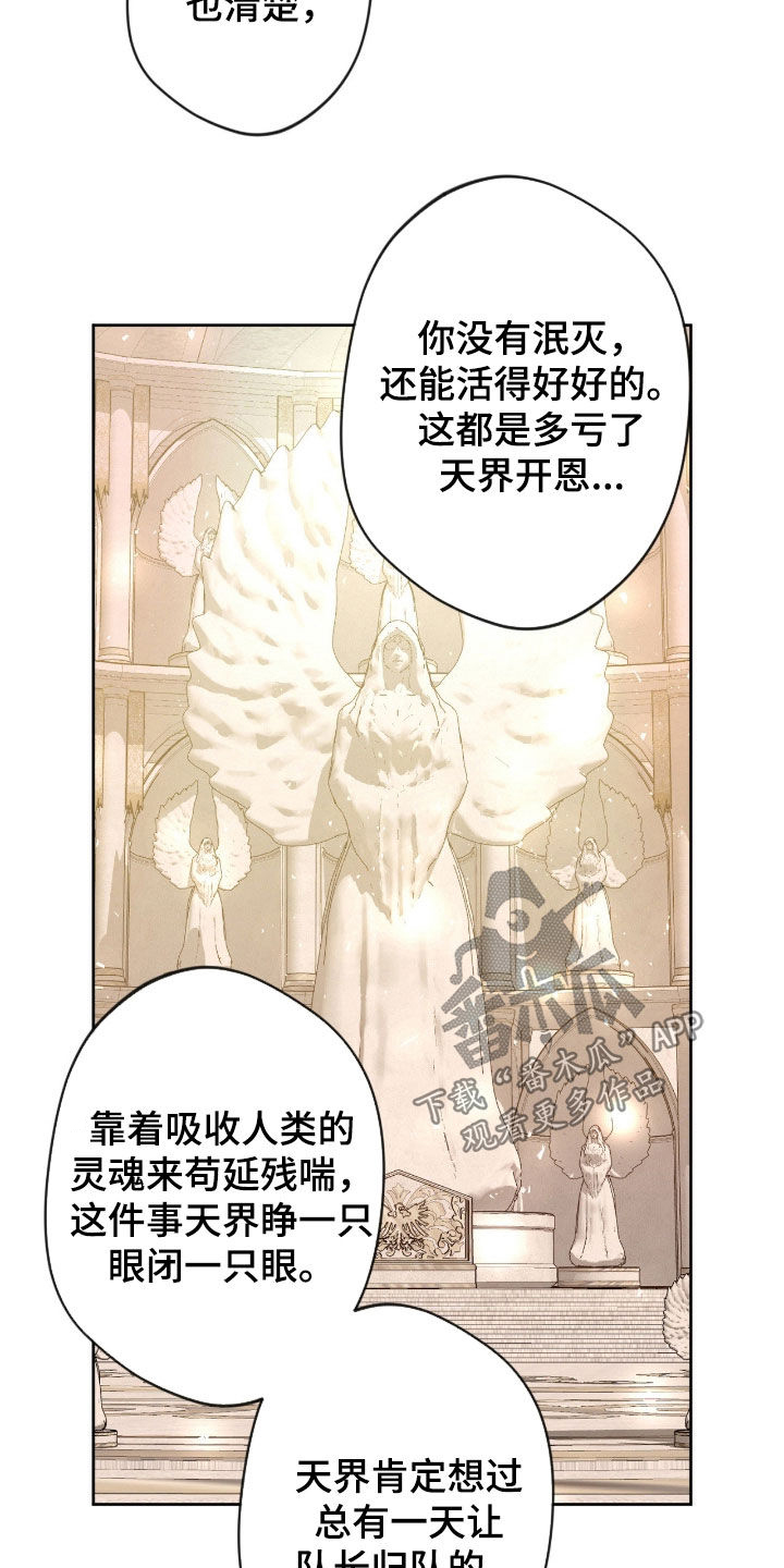 天使圣痕46集完整漫画,第84章：【第二季】好消息3图