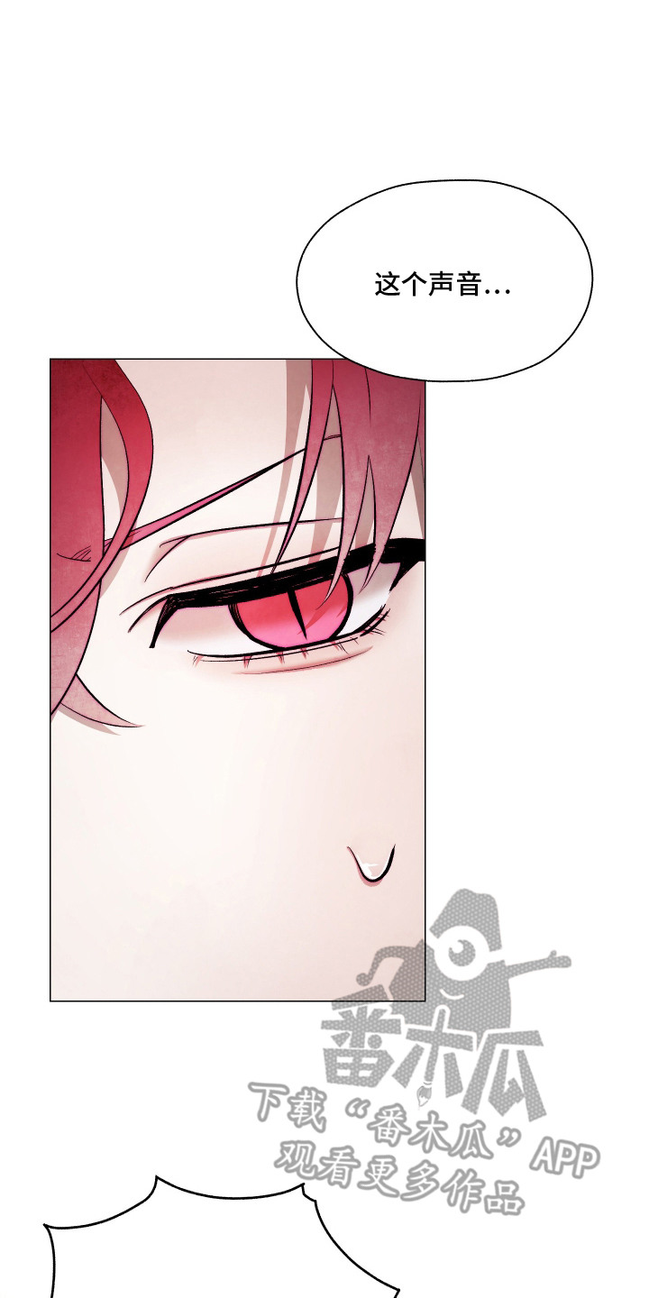 魅魔饲养日志漫画,第15章：做家务4图