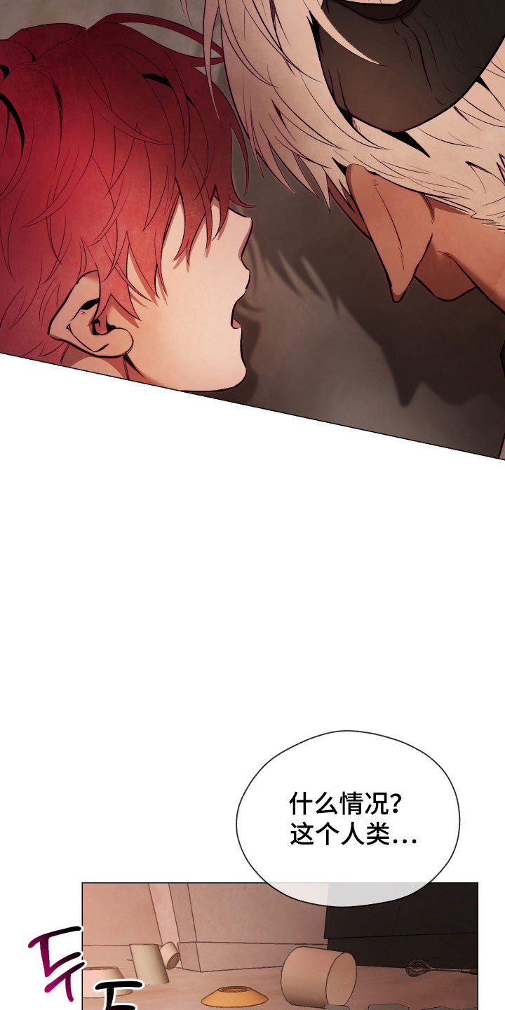 魅魔饲养日志漫画,第17章：甜食威胁3图