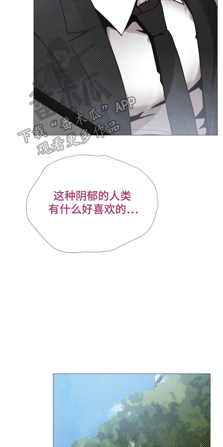 魅魔饲养日志漫画,第23章：发现新奇2图