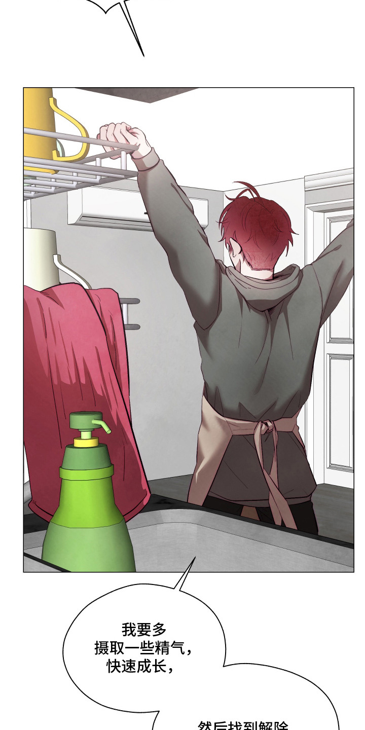 魅魔饲养日志漫画,第15章：做家务1图