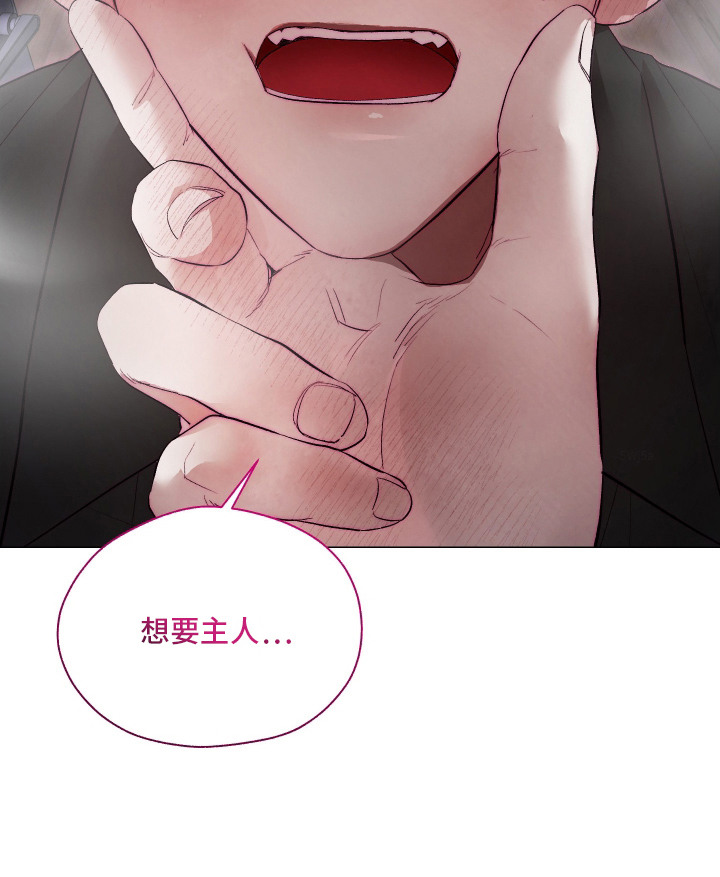 魅魔饲养日志漫画完整版漫画,第11章：身体异常2图