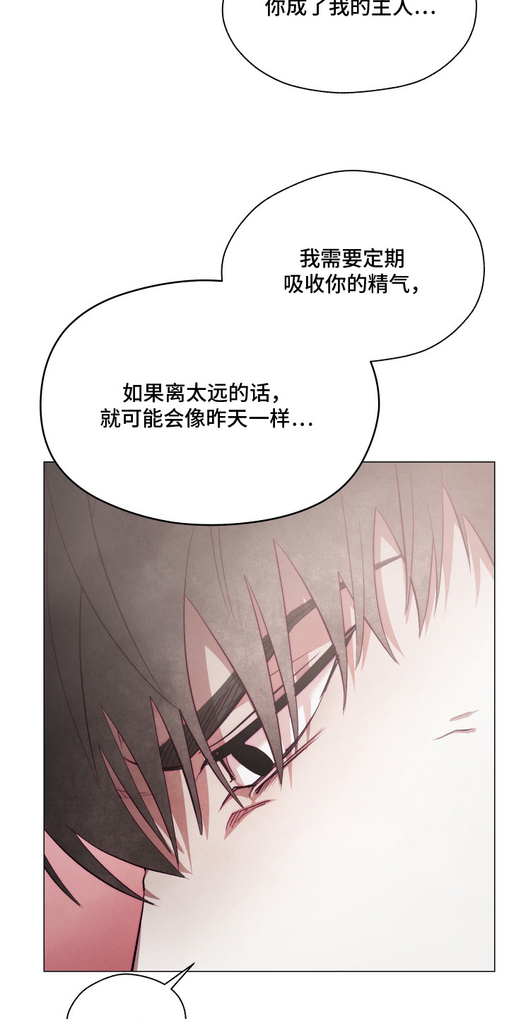 饲养魅魔的100种方法漫画,第13章： 主仆契约2图