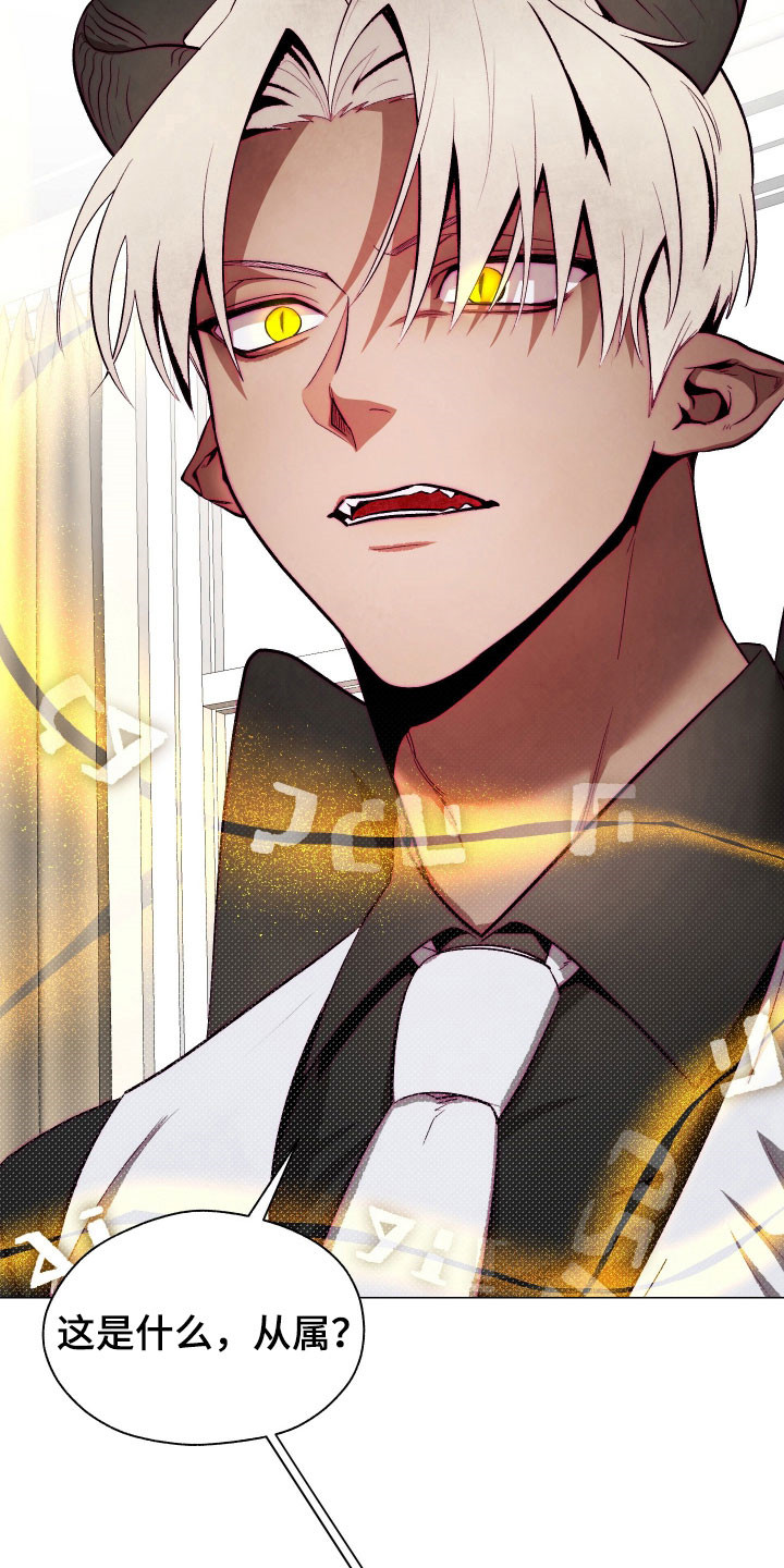 如何饲养一只魅魔首页漫画,第16章：去天堂吧1图