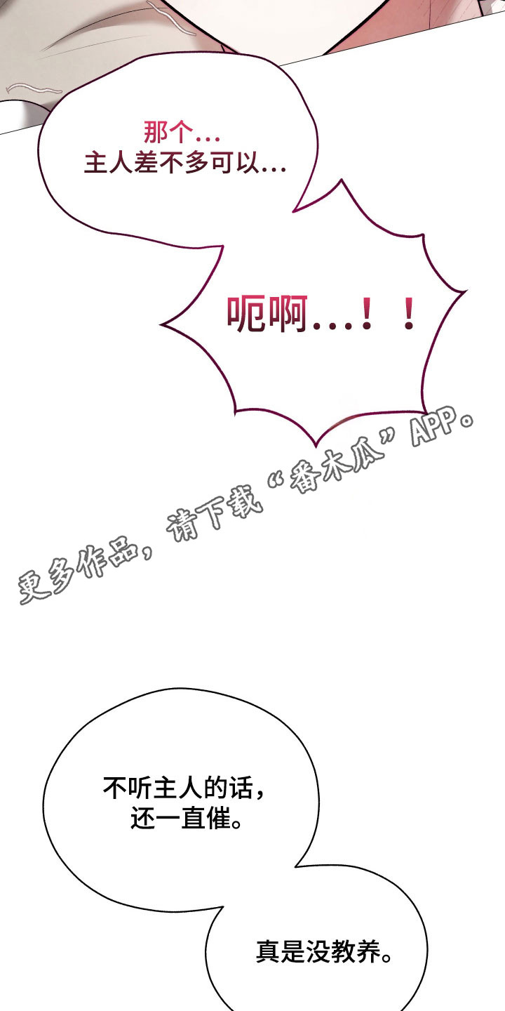 魅魔饲养日志漫画,第25章：好好回答3图