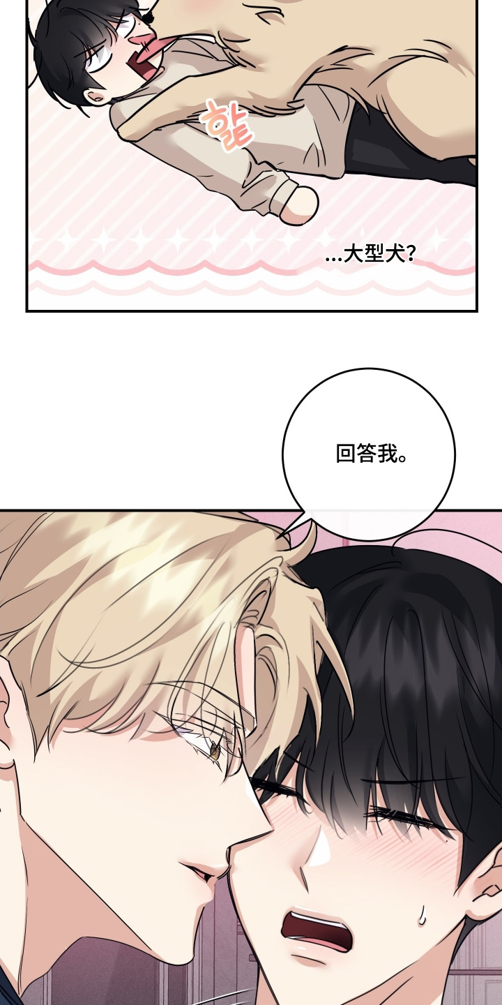 日月共生漫画,第133章：【第二季】真心喜欢2图