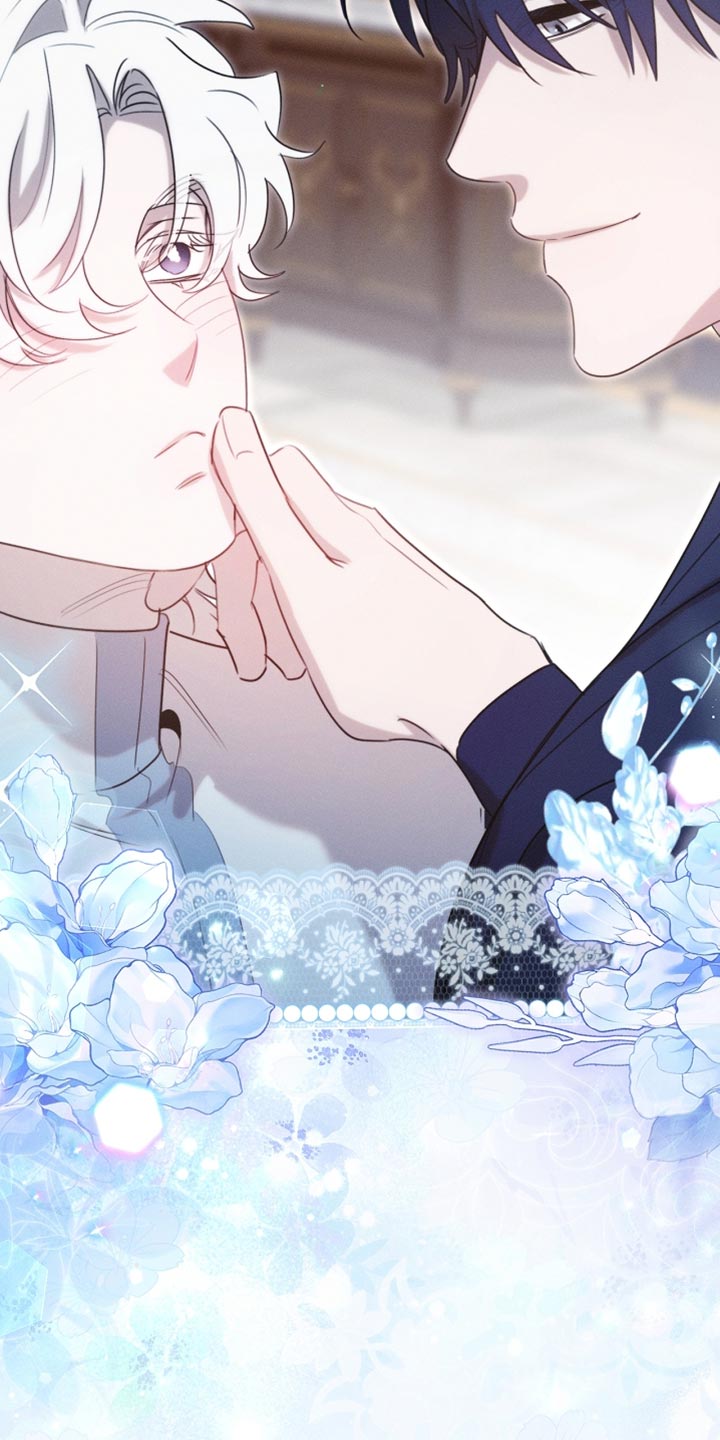 白鸟奇遇记漫画全集免费阅读漫画,第115章：【第二季】来的比想象中快3图