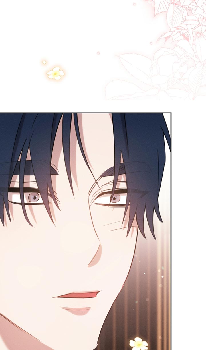 白鸟奇遇记1至200集漫画,第116章：【第二季】今晚会很漫长1图