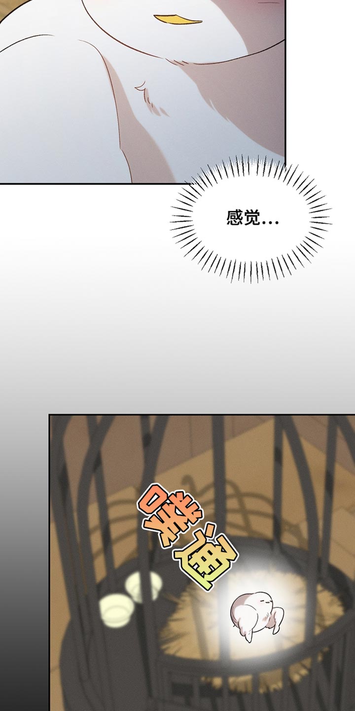 白鸟奇遇记漫画,第129章：【第二季】是你这家伙做的事情2图