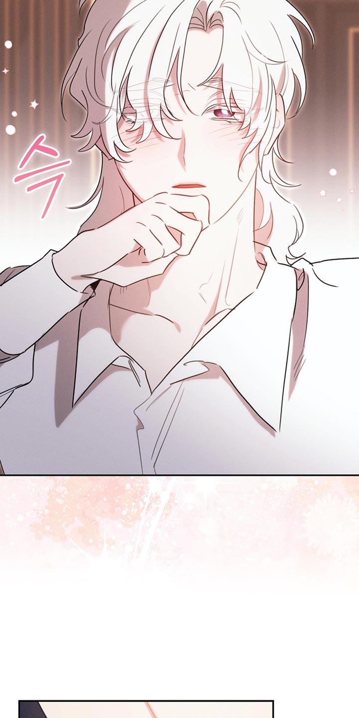 白鸟奇遇记1至200集漫画,第116章：【第二季】今晚会很漫长1图