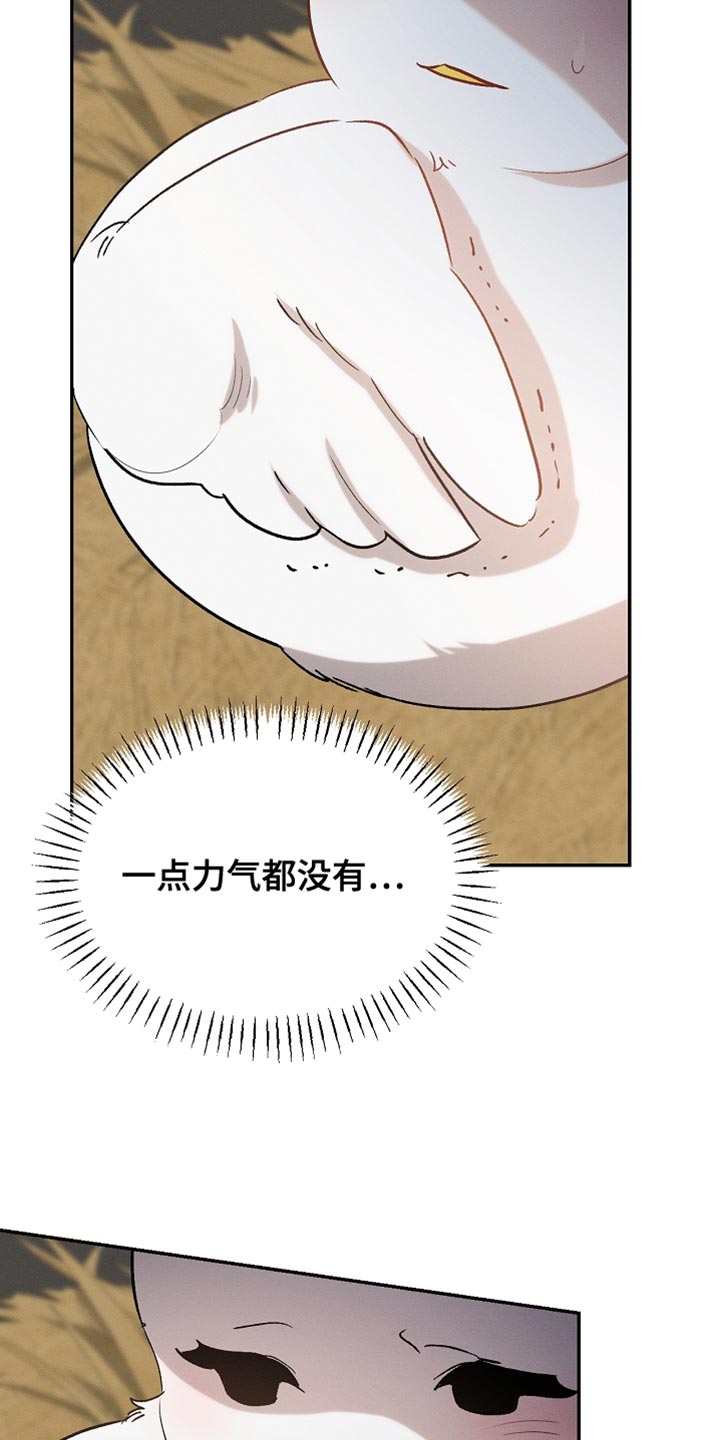 白鸟奇遇记漫画,第129章：【第二季】是你这家伙做的事情1图