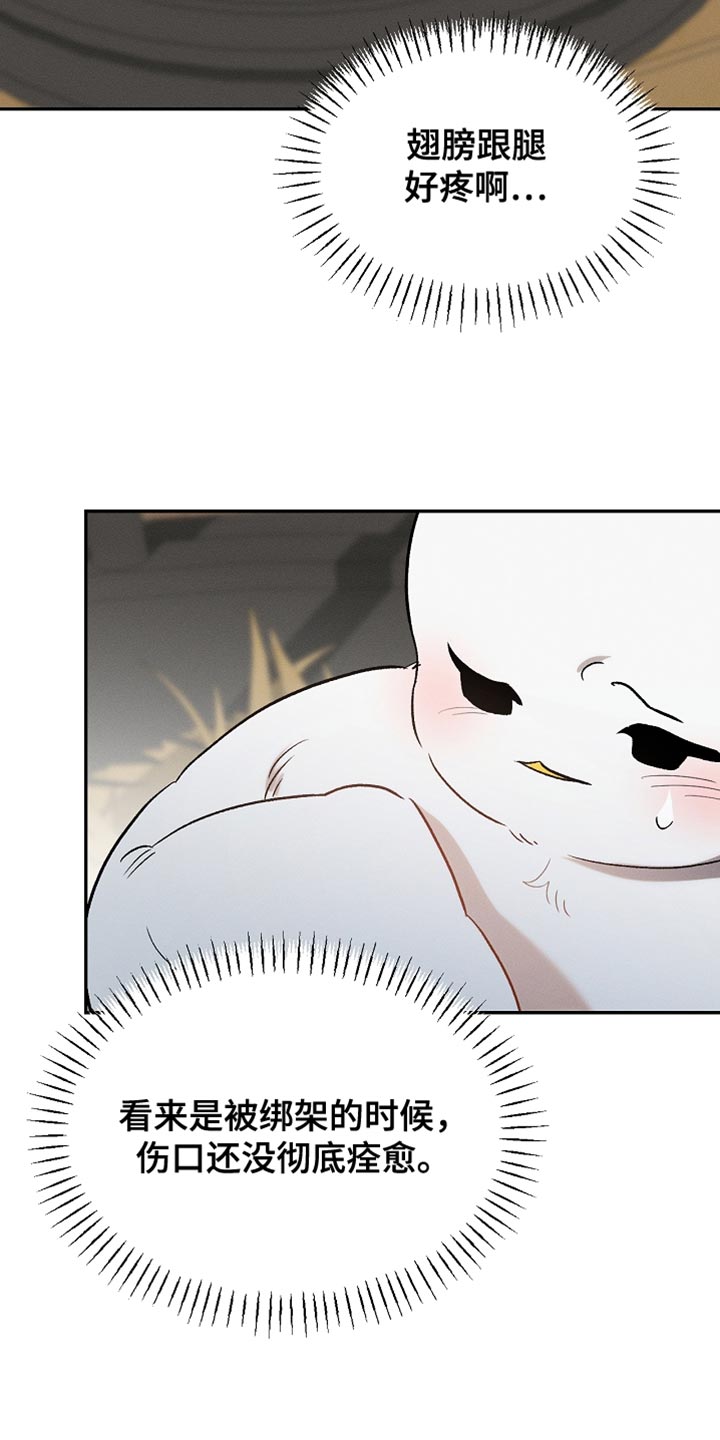 白鸟奇遇记漫画,第129章：【第二季】是你这家伙做的事情4图