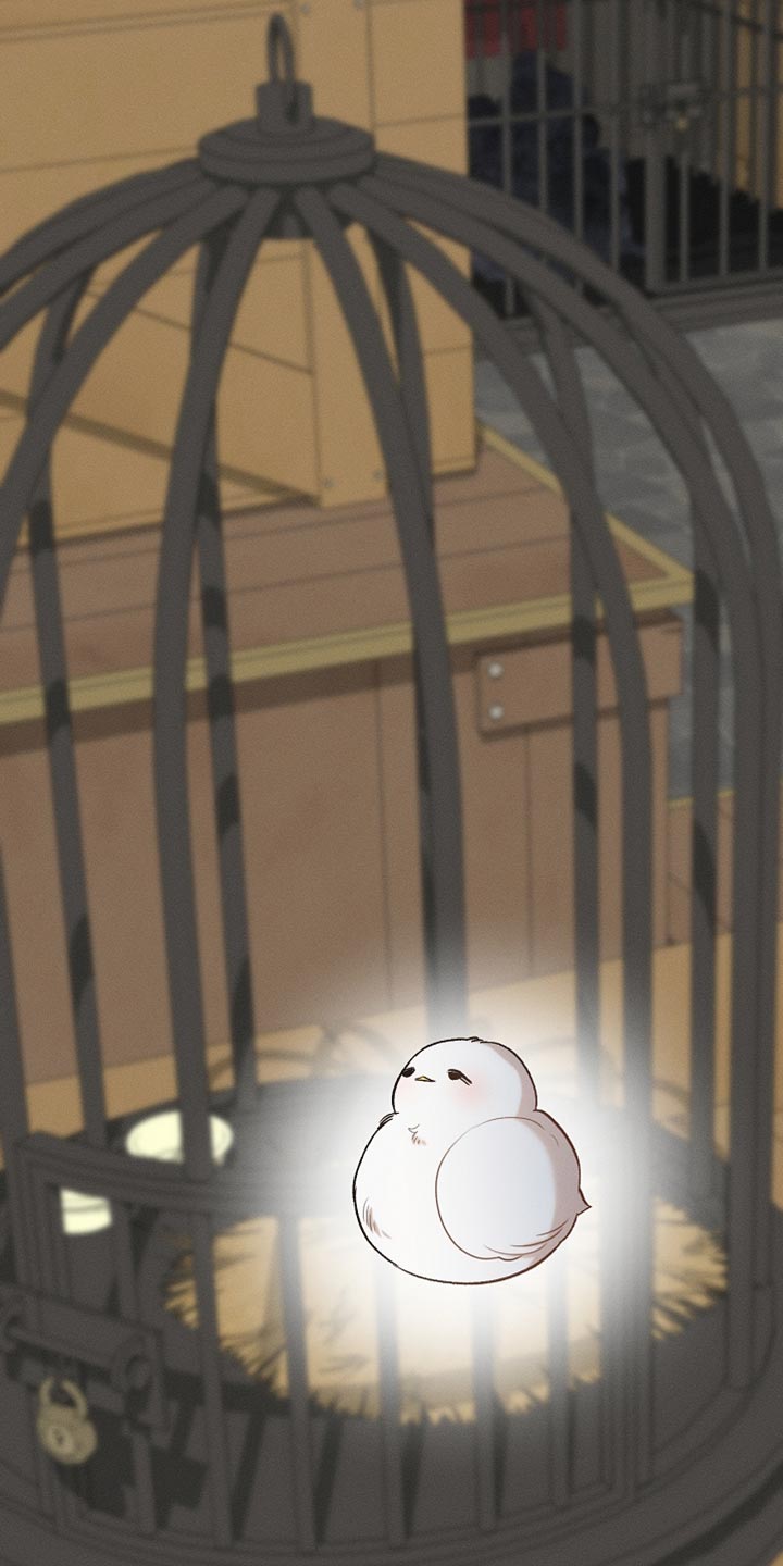 白鸟奇遇记漫画,第129章：【第二季】是你这家伙做的事情3图