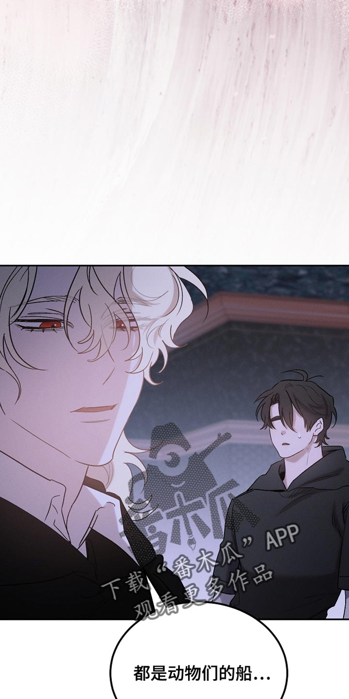 白鸟奇遇记漫画,第129章：【第二季】是你这家伙做的事情2图