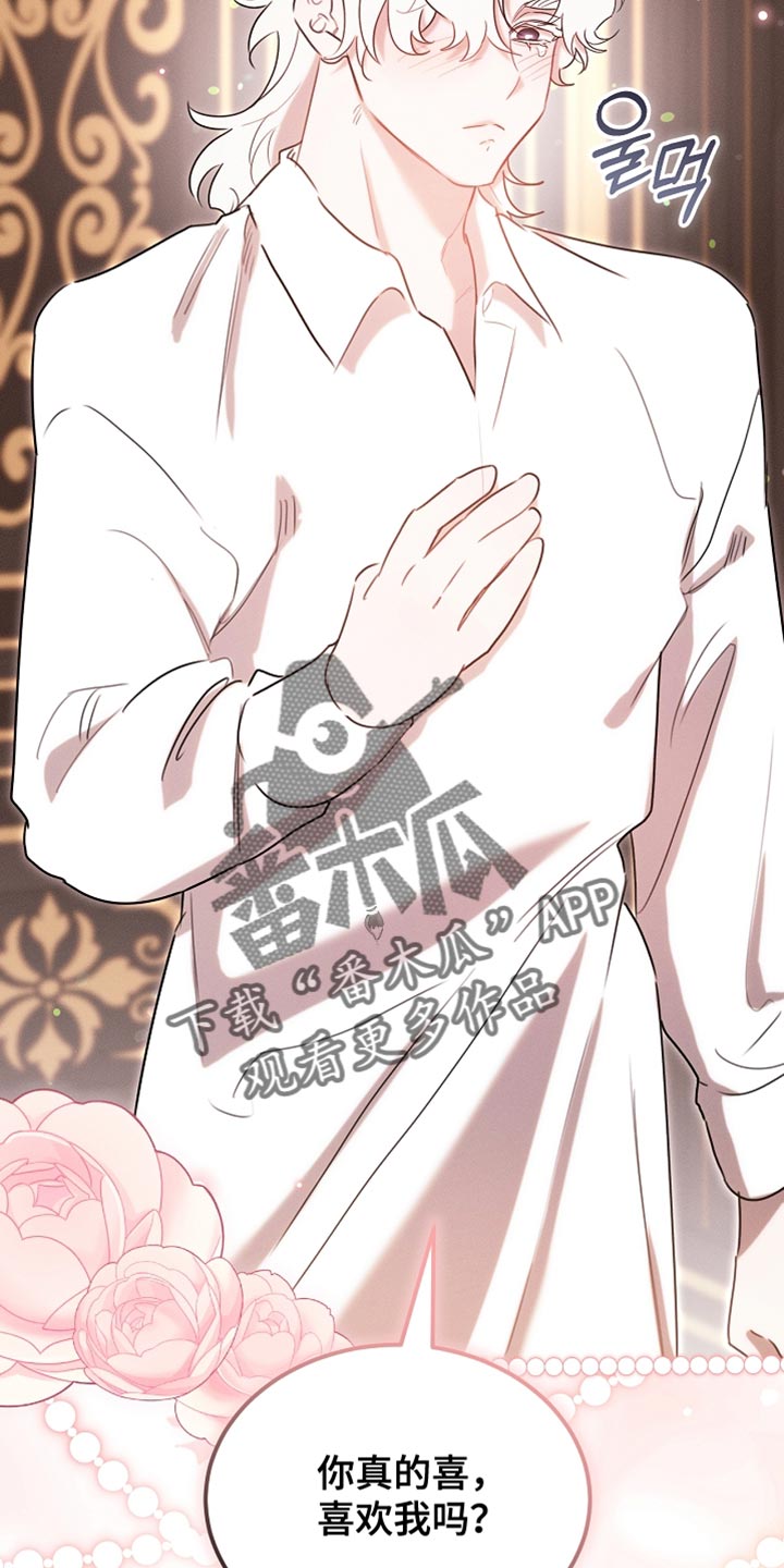 白鸟奇遇记1至200集漫画,第116章：【第二季】今晚会很漫长4图