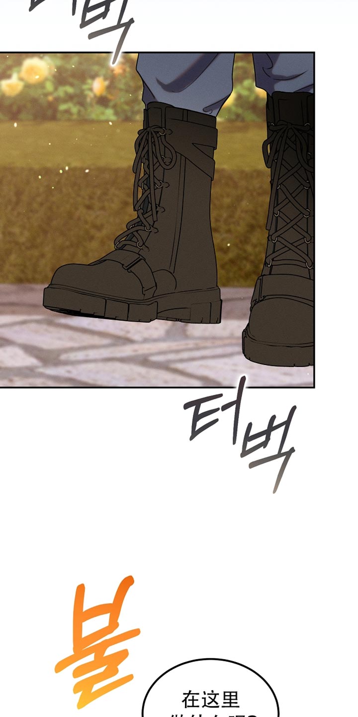 白鸟奇遇记漫画,第114章：【第二季】好好考虑一下2图