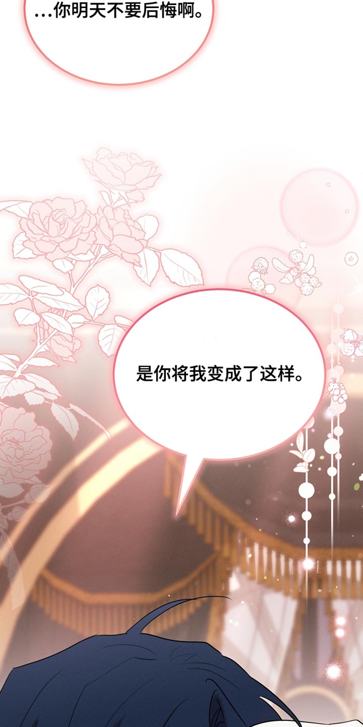 白鸟奇遇记1至200集漫画,第116章：【第二季】今晚会很漫长3图