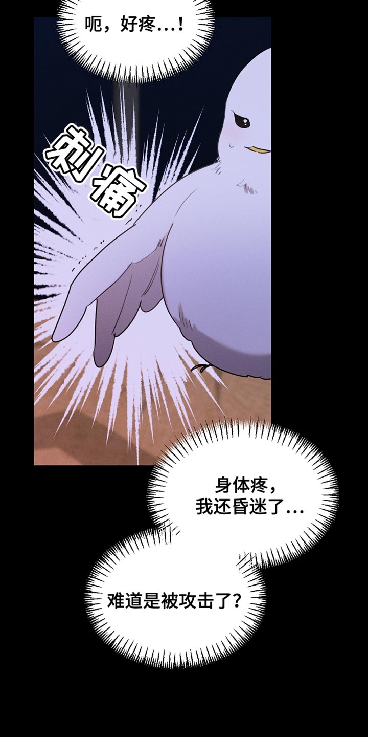 白鸟奇遇记完整版免费观看漫画,第125章：【第二季】为什么绑架我3图