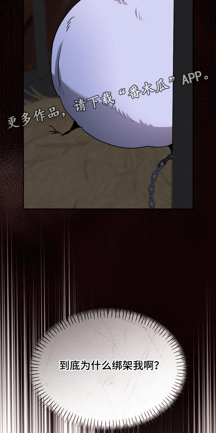 白鸟奇遇记下拉漫画漫画,第125章：【第二季】为什么绑架我2图