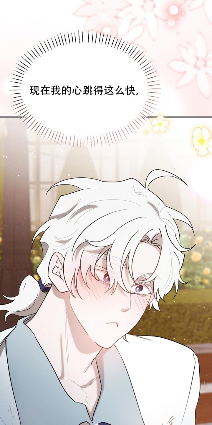 白鸟奇遇记漫画,第114章：【第二季】好好考虑一下5图