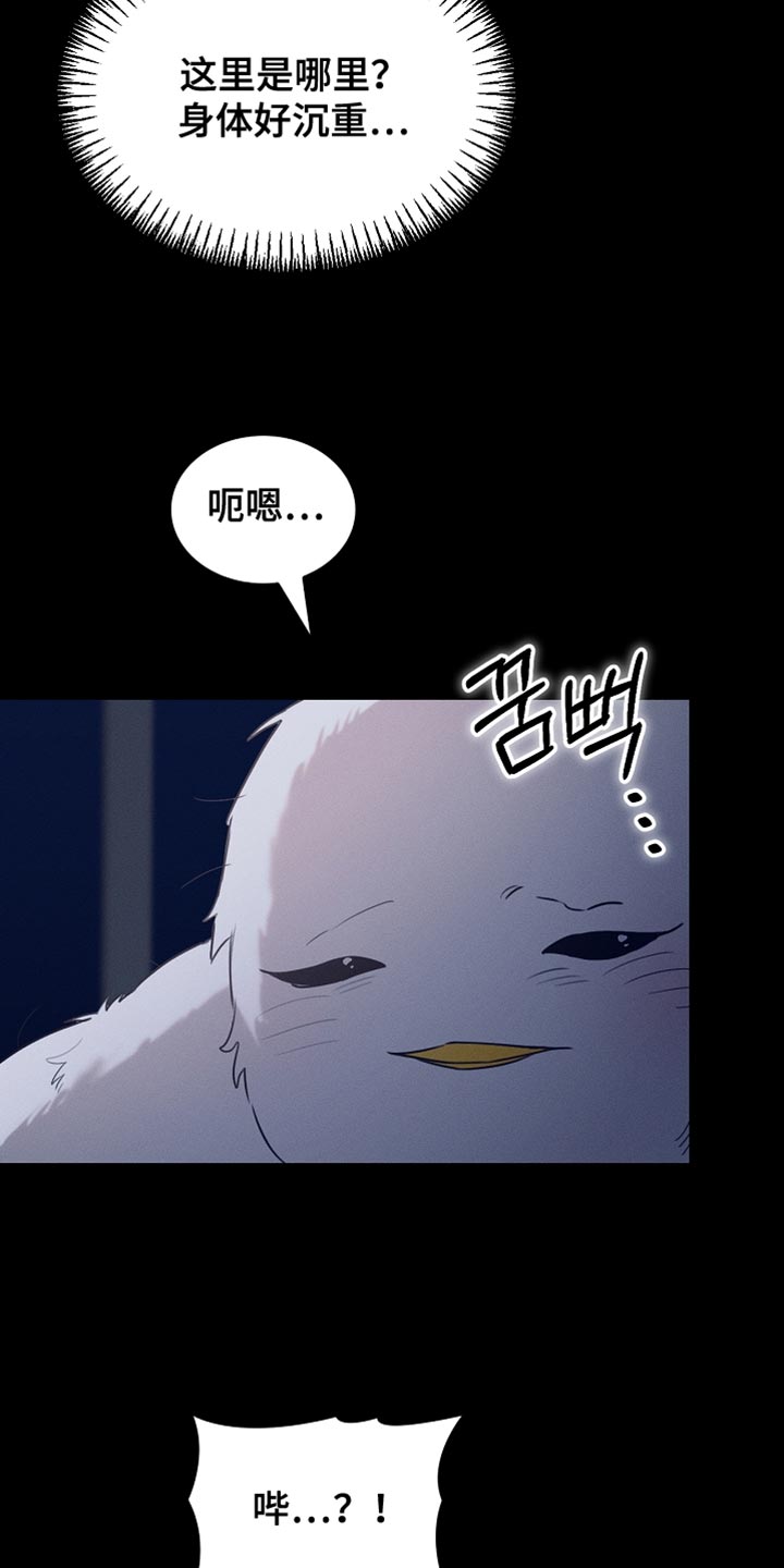 白鸟奇遇记完整版免费观看漫画,第125章：【第二季】为什么绑架我1图