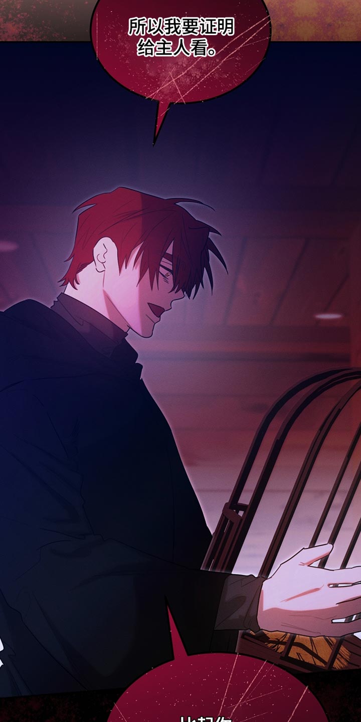 《白鸟奇遇记》简介漫画,第126章：【第二季】可疑之处1图