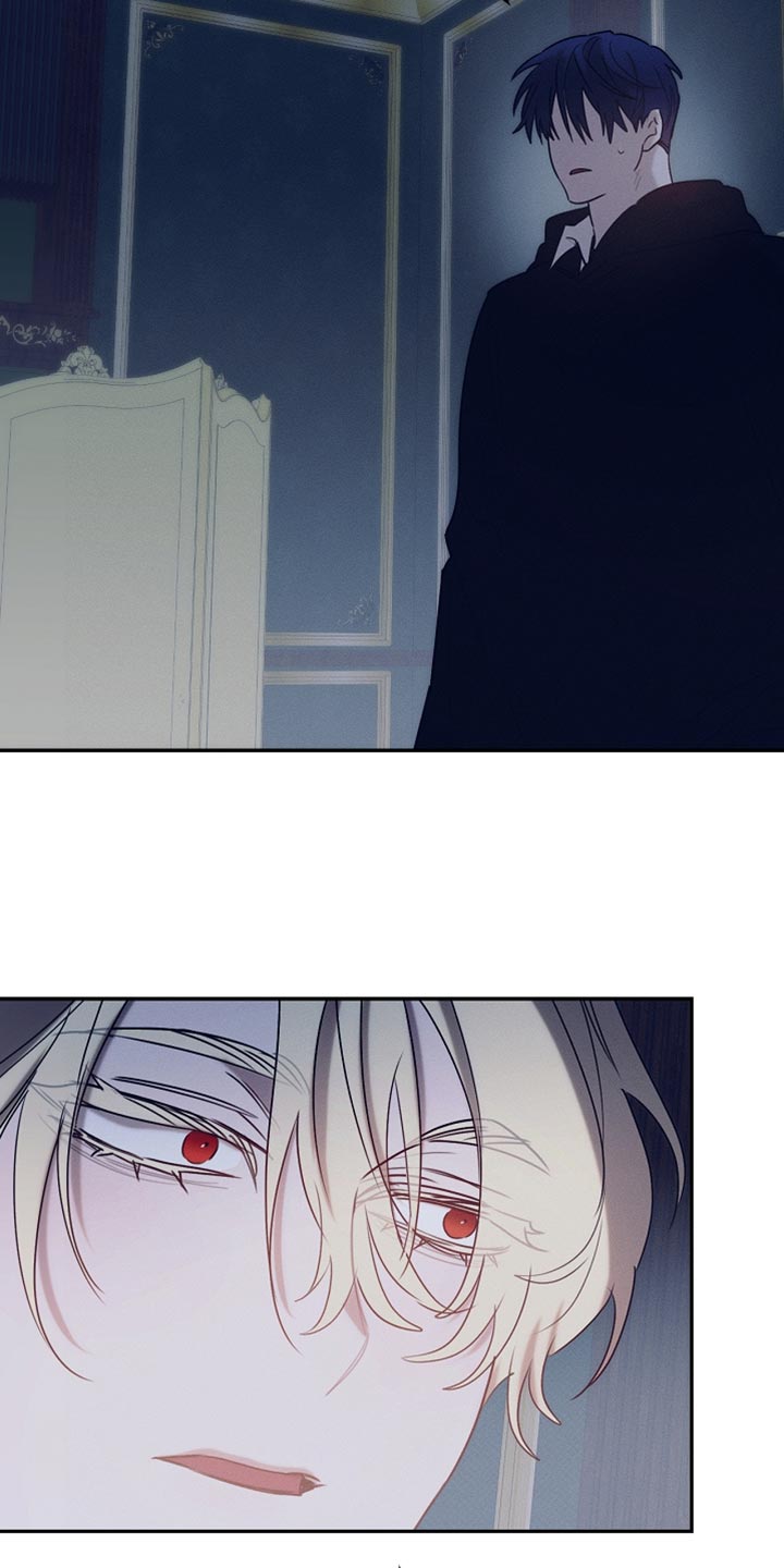 白鸟奇遇记6漫画,第127章：【第二季】我真的不会放过你5图