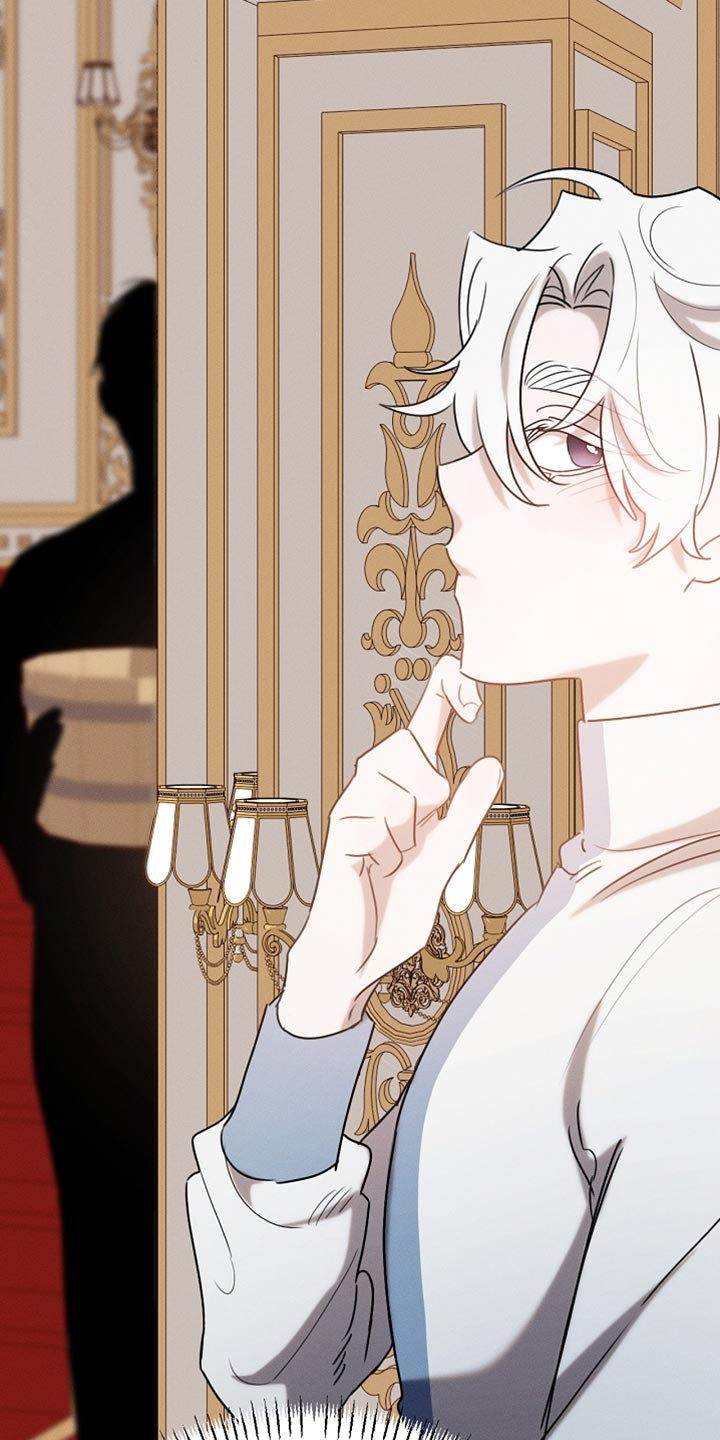 白鸟奇遇记全剧漫画,第115章：【第二季】来的比想象中快3图