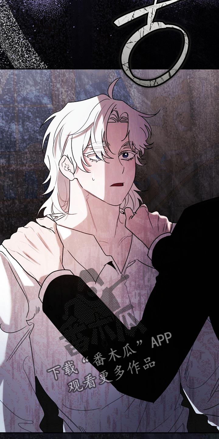 白鸟奇遇记漫画全集漫画,第125章：【第二季】为什么绑架我1图