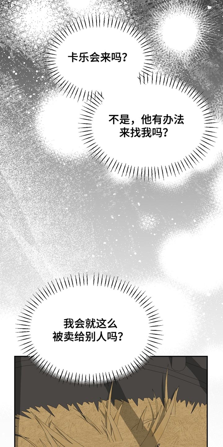 白鸟奇遇记漫画,第129章：【第二季】是你这家伙做的事情4图