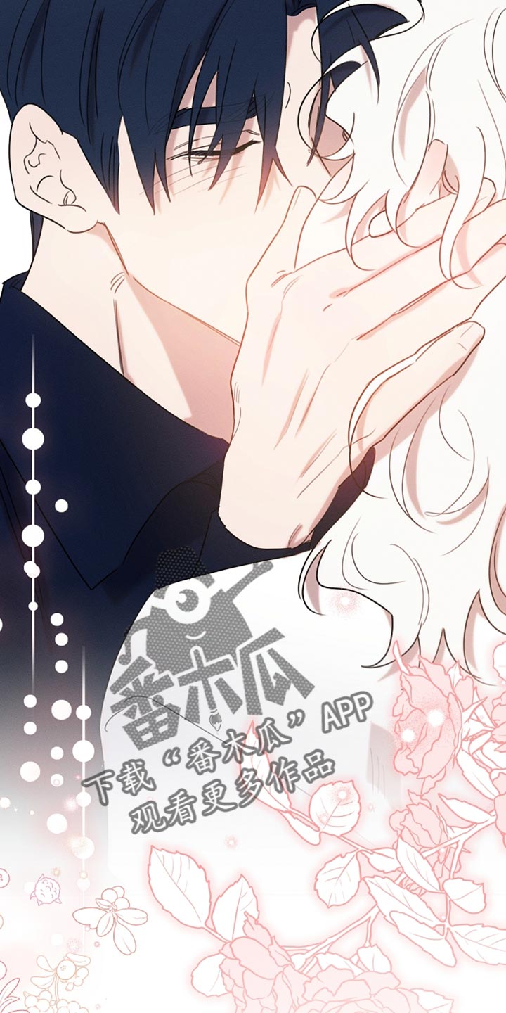 白鸟奇遇记1至200集漫画,第116章：【第二季】今晚会很漫长4图