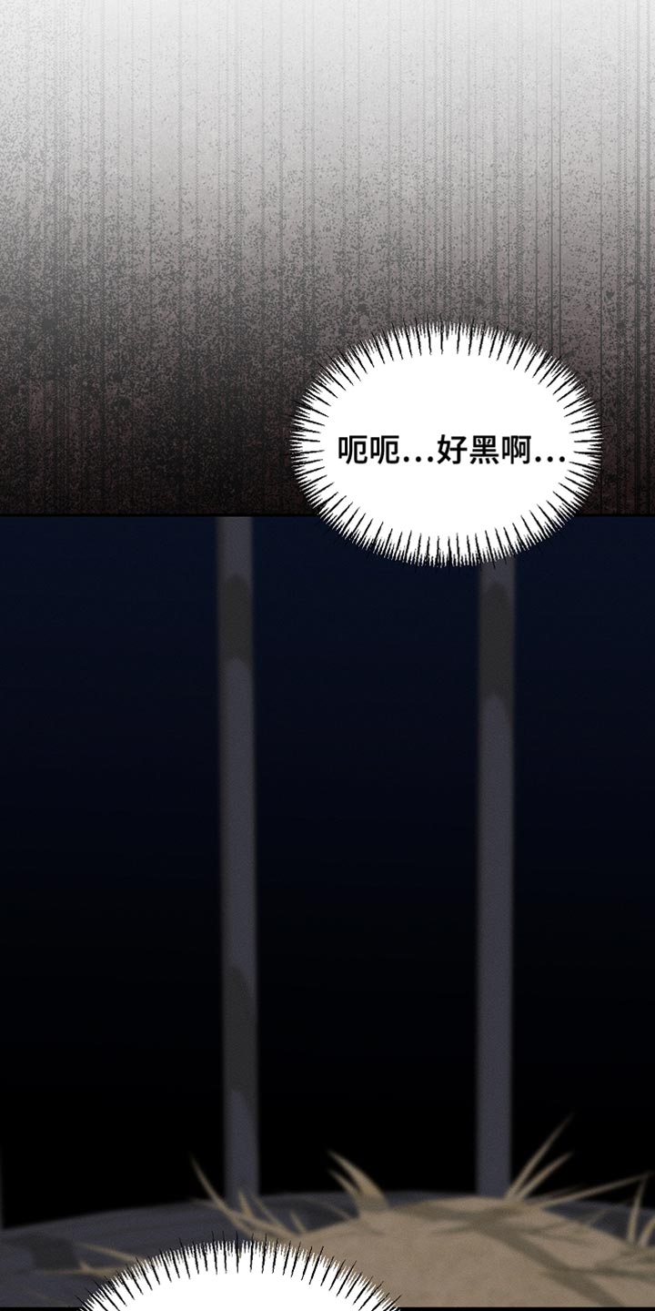 白鸟奇遇记完整版免费观看漫画,第125章：【第二季】为什么绑架我5图