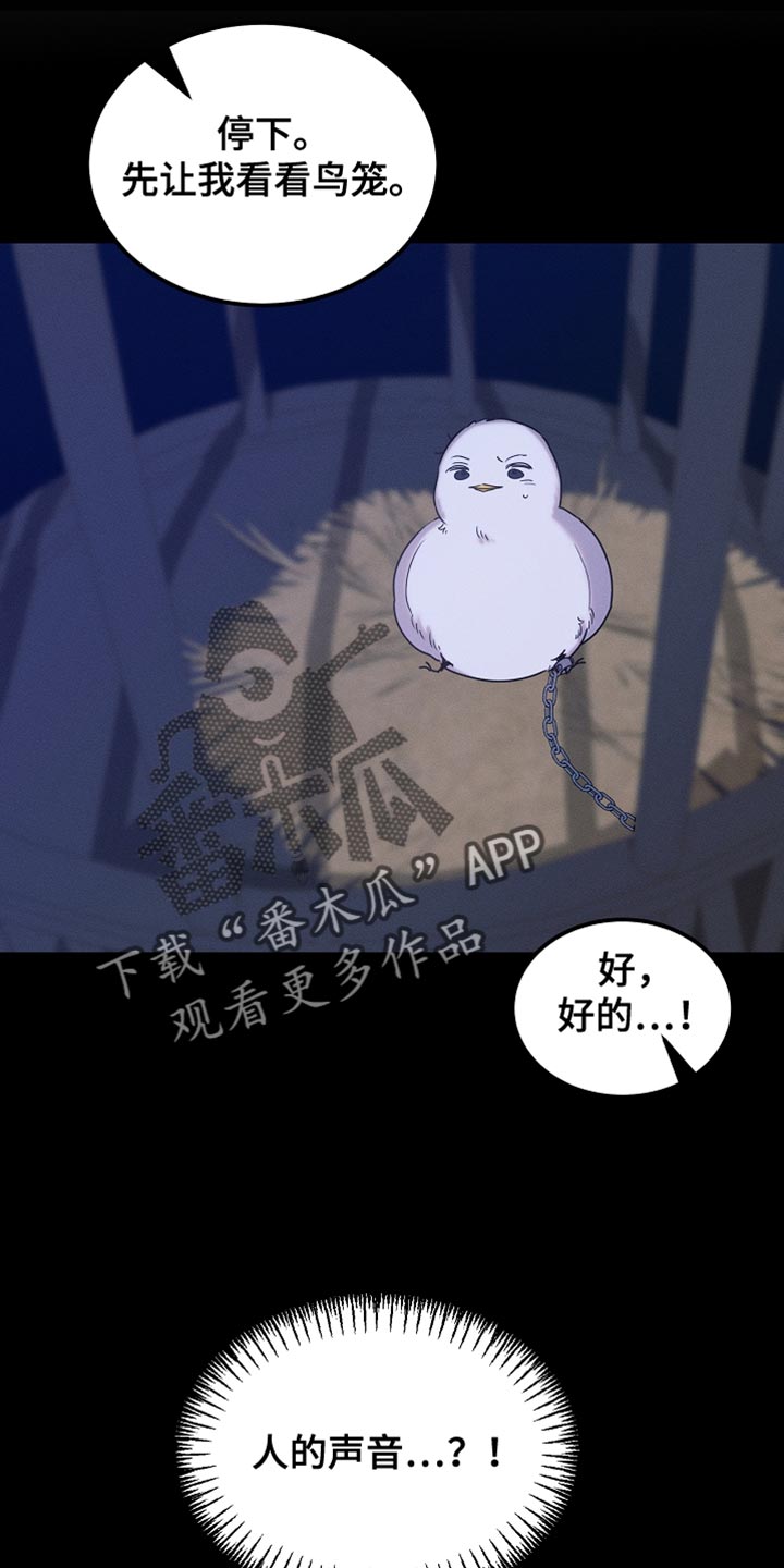 白鸟奇遇记完整版免费观看漫画,第125章：【第二季】为什么绑架我3图