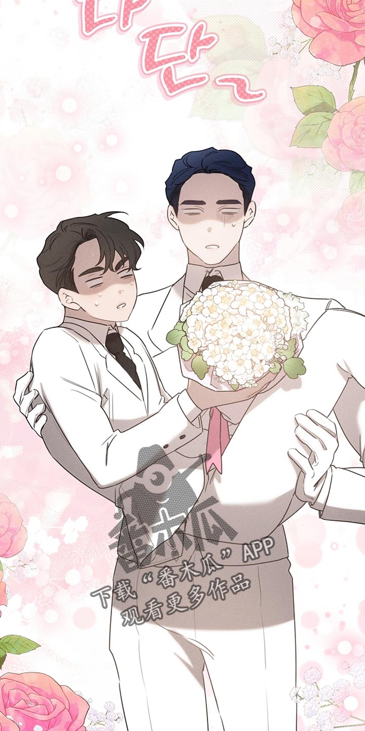 《白鸟奇遇记》简介漫画,第83章：【第二季】快递3图