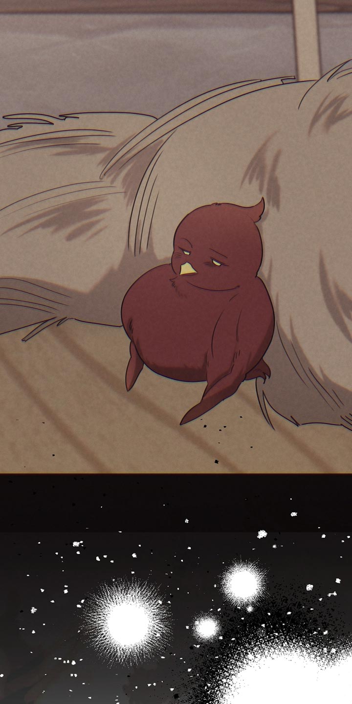 《白鸟奇遇记》简介漫画,第126章：【第二季】可疑之处1图