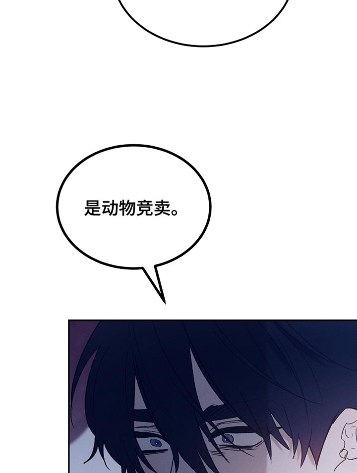 白鸟奇遇记漫画,第129章：【第二季】是你这家伙做的事情3图