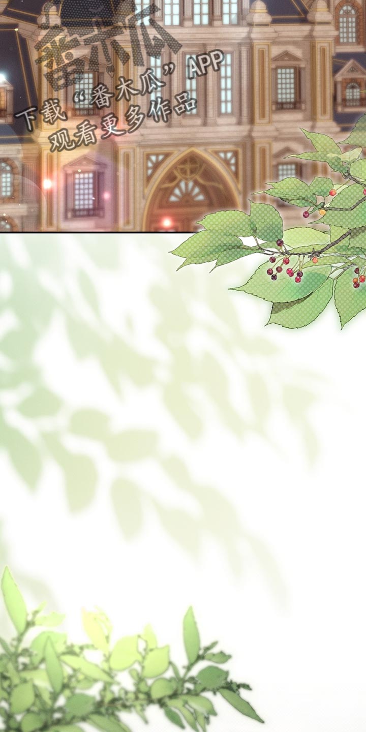 白鸟奇遇记漫画,第114章：【第二季】好好考虑一下2图