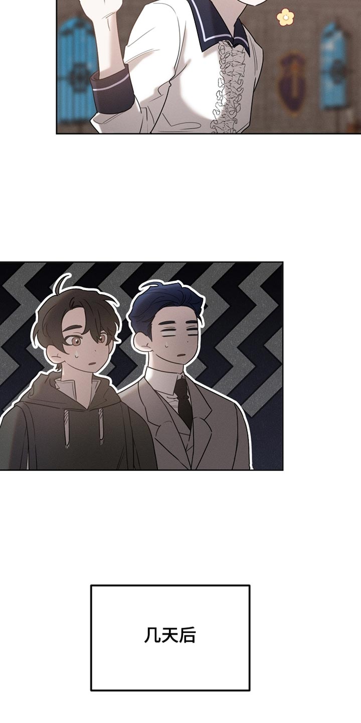 《白鸟奇遇记》简介漫画,第83章：【第二季】快递5图