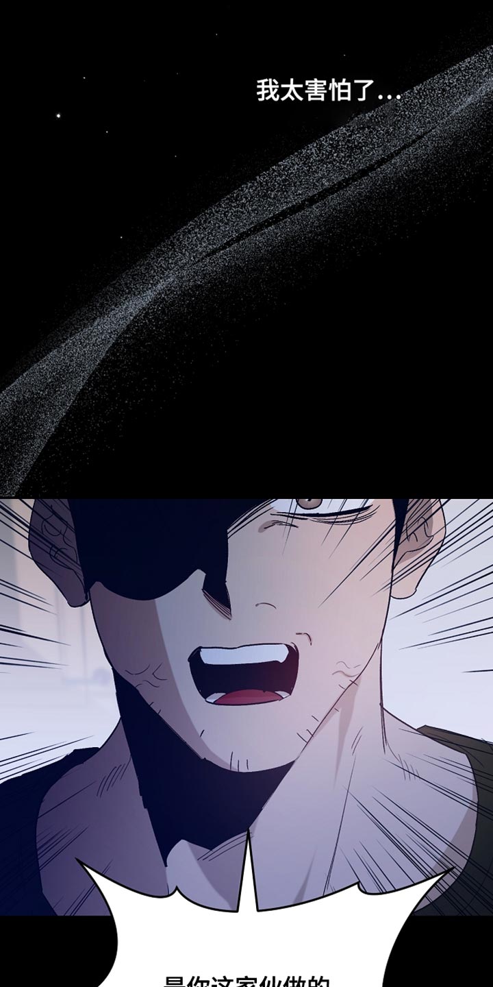 白鸟奇遇记漫画,第129章：【第二季】是你这家伙做的事情2图