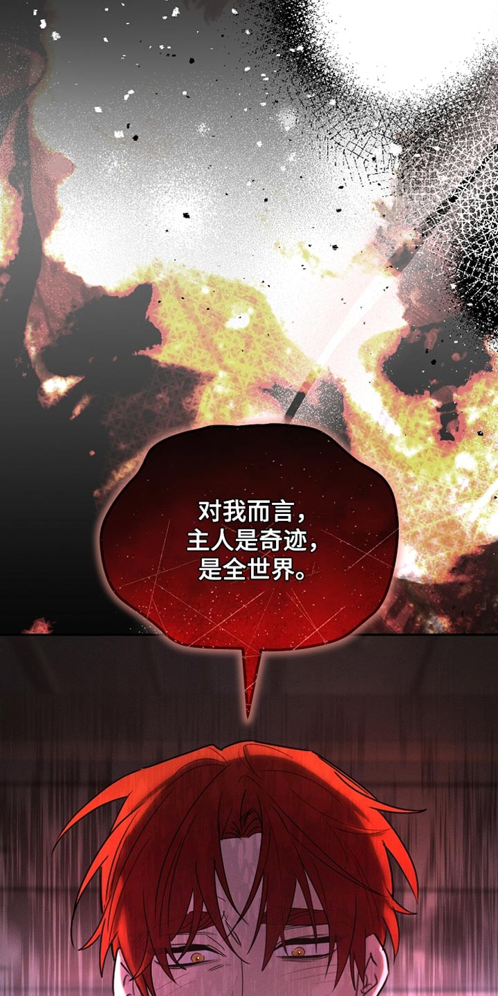 《白鸟奇遇记》简介漫画,第126章：【第二季】可疑之处2图