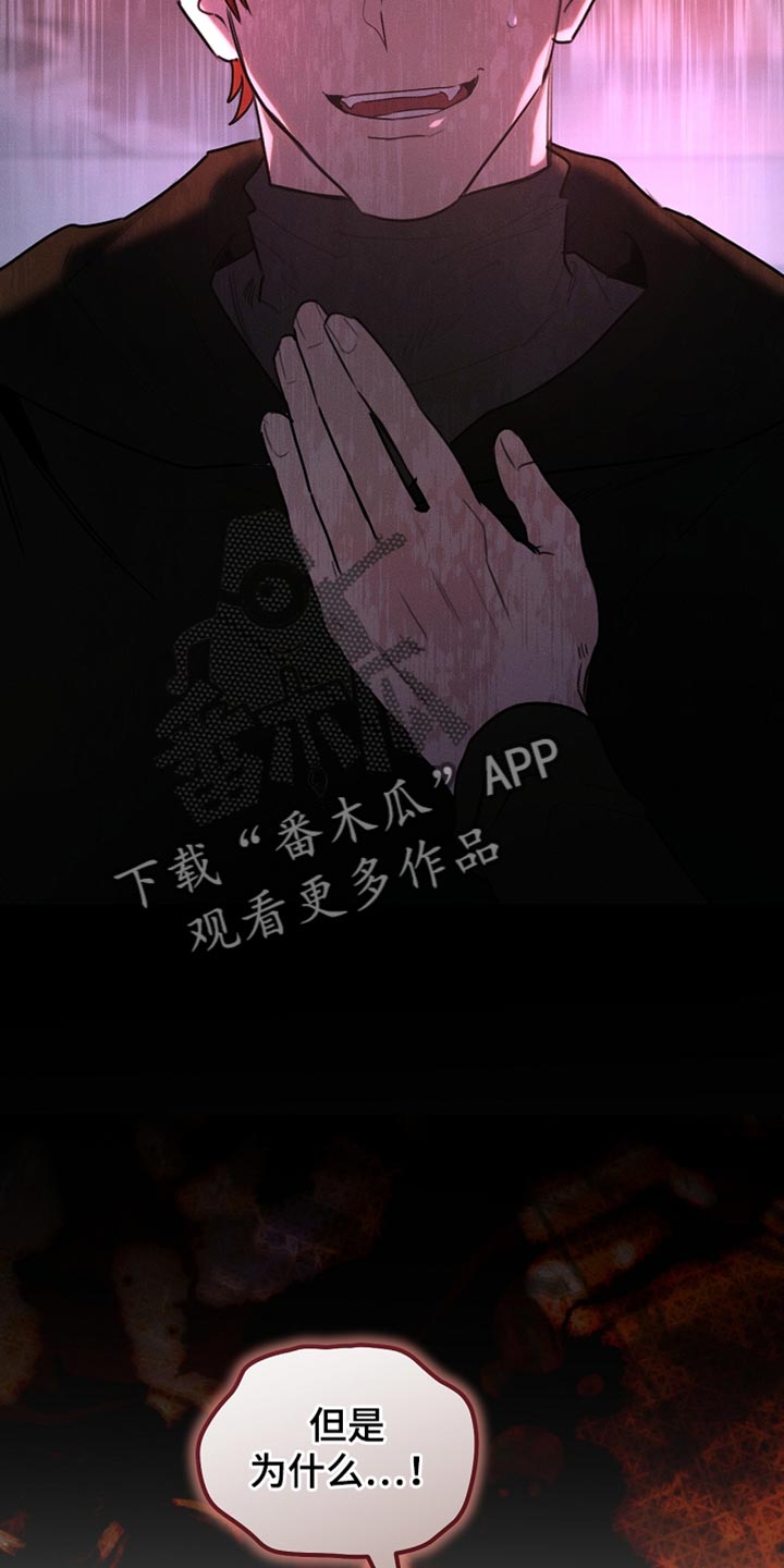 《白鸟奇遇记》简介漫画,第126章：【第二季】可疑之处3图