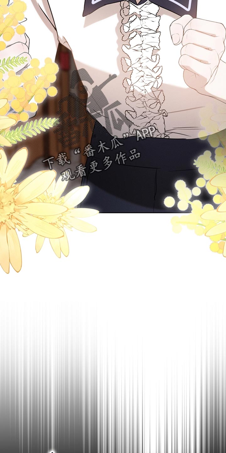 白鸟奇遇记6漫画,第82章：【第二季】内心很柔软4图