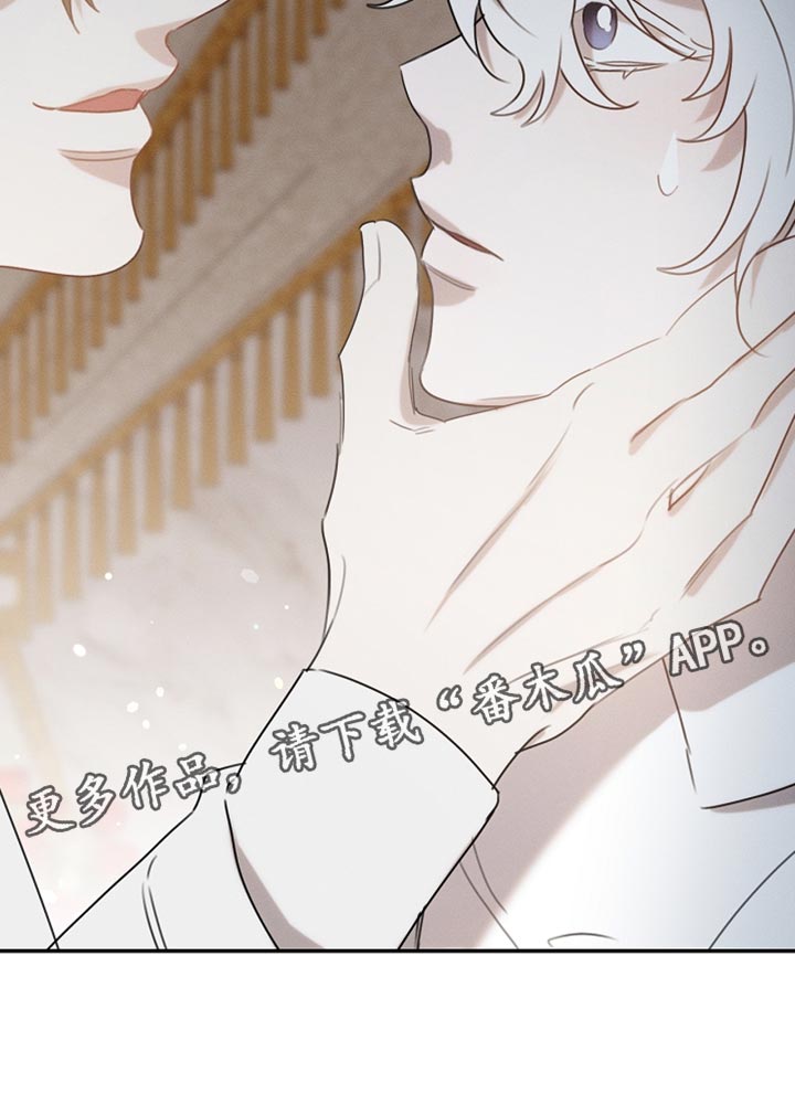 白鸟奇遇记1-93集漫画,第117章：【第二季】同样的梦1图