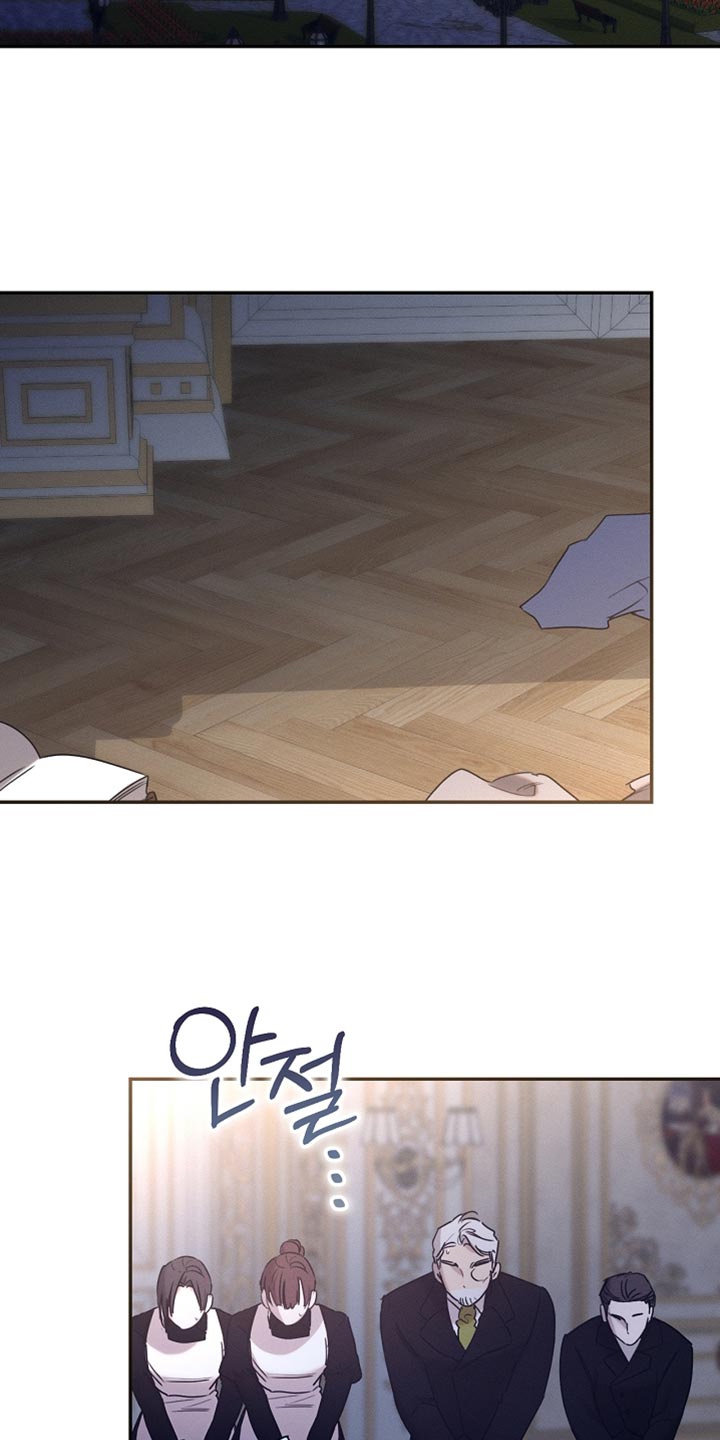 白鸟奇遇记1-10集漫画,第126章：【第二季】可疑之处2图