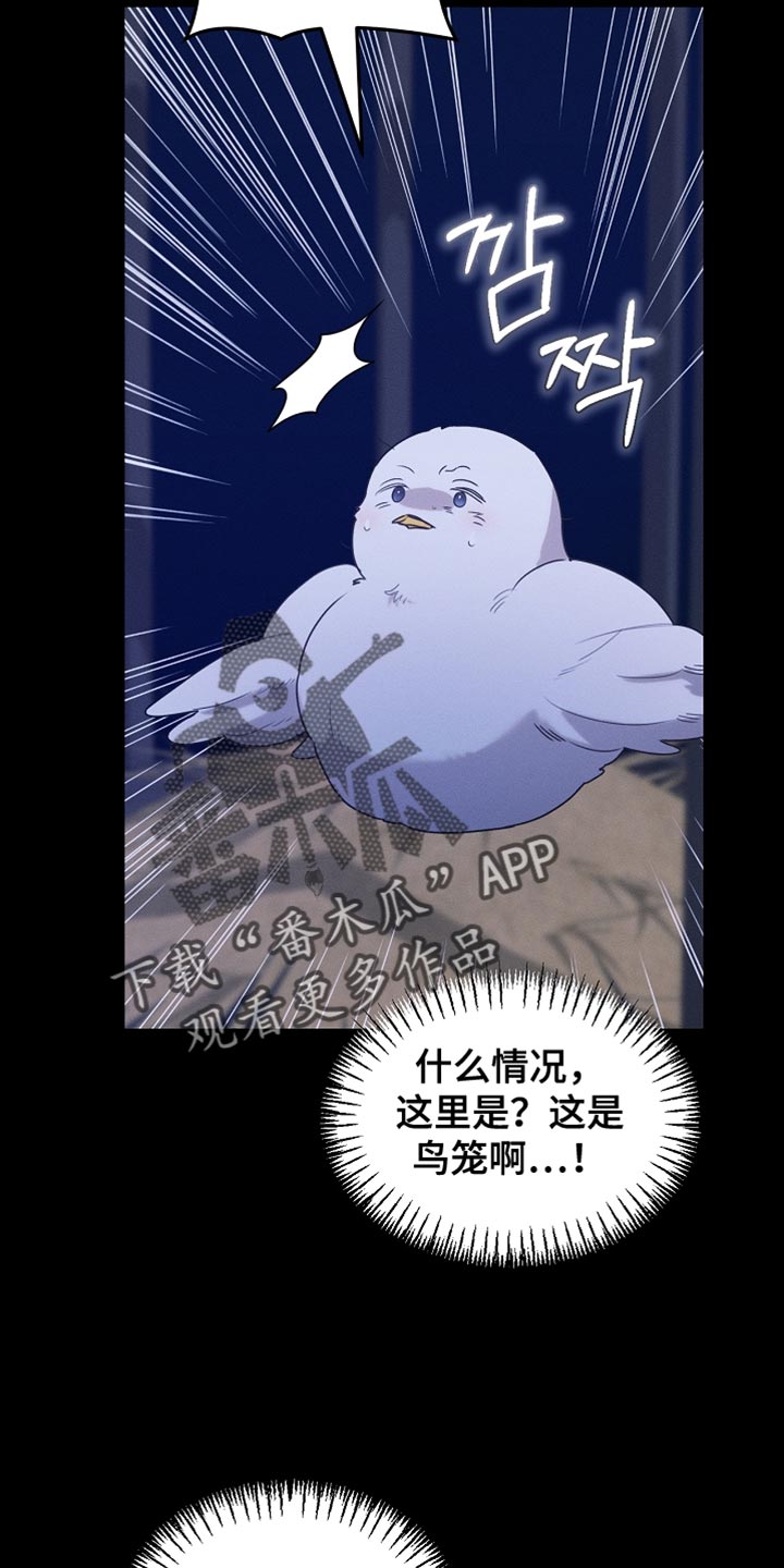 白鸟奇遇记完整版免费观看漫画,第125章：【第二季】为什么绑架我2图