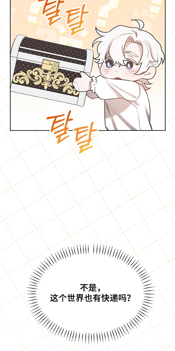 白鸟湖望谷路医院规划在哪漫画,第83章：【第二季】快递4图