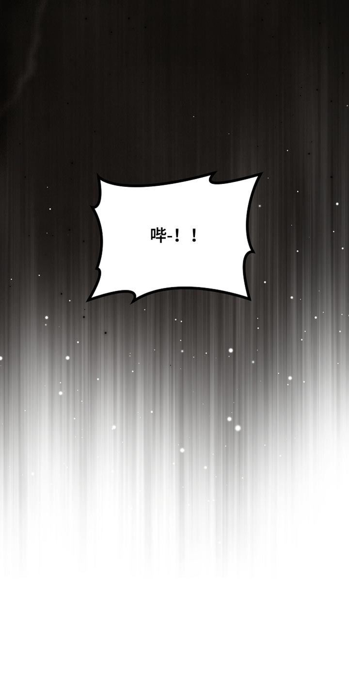 《白鸟奇遇记》简介漫画,第126章：【第二季】可疑之处5图