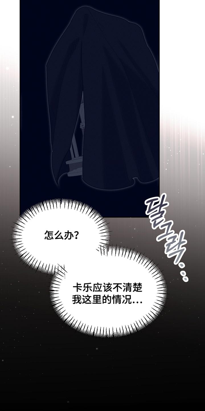 白鸟奇遇记完整版免费观看漫画,第125章：【第二季】为什么绑架我2图